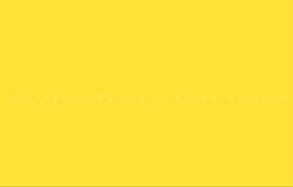 Gift Card CC25
