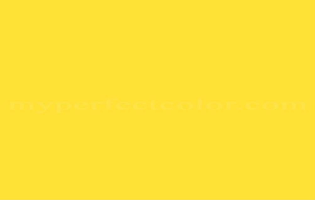 Gift Card CC25